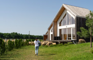 vivre sans électricité